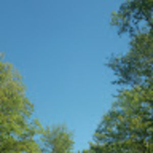 Meet your Posher, Elwood